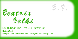 beatrix velki business card